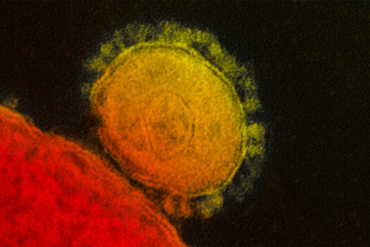 Стали известны первые симптомы нового коронавируса