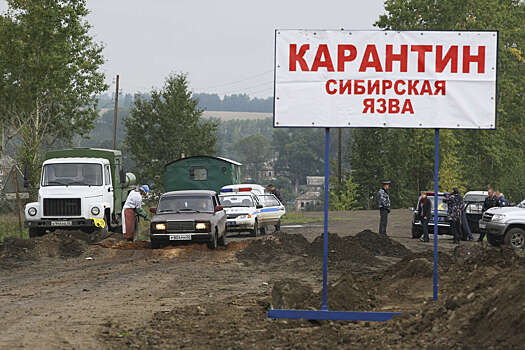 В Воронежской области обнаружили два новых очага сибирской язвы