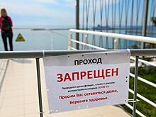 В Сочи на карантине хорошо проституткам, наркодилерам и столичному бомонду