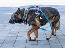 Экстренные службы направили к школам Щербиновского района Кубани 24 декабря