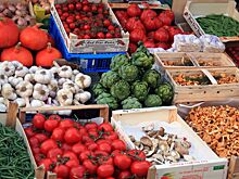 Какие продукты помогают бороться с кишечными паразитами и грибком
