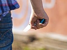 Поножовщина в школе становится частью ЕГЭ