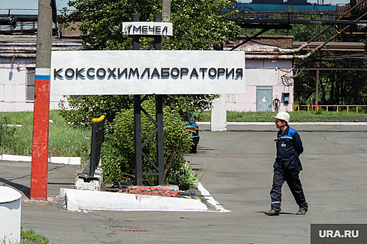 Завод челябинского олигарха в Подмосковье потребовали закрыть