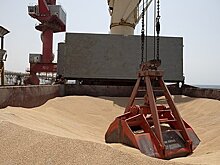 Главы российских регионов заявили о вывозе зерна иностранцами по теневой схеме