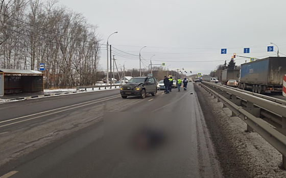Под Рязанью насмерть сбили мужчину