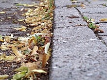 На Юннатов дереву вернули ограждение