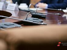 Челябинский сенатор выступила за запрет абортов