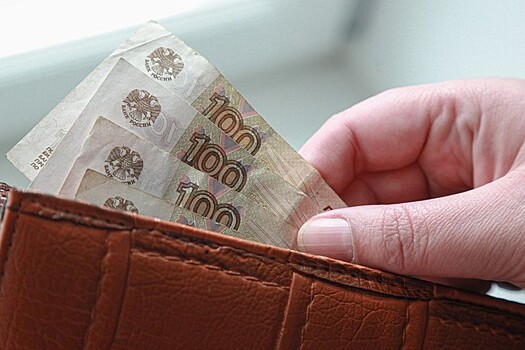 Россияне оценили сумму безусловного дохода в месяц