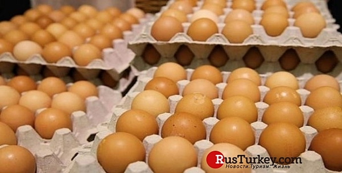 Ирак отказался от импорта турецких яиц