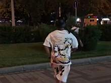 Краснодарских "викингов", напавших на куст в центре города, осудили в Сети (видео)