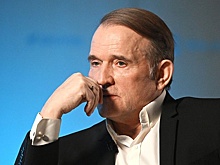 Медведчук рассказал, где по логике Зеленского должна проходить граница РФ