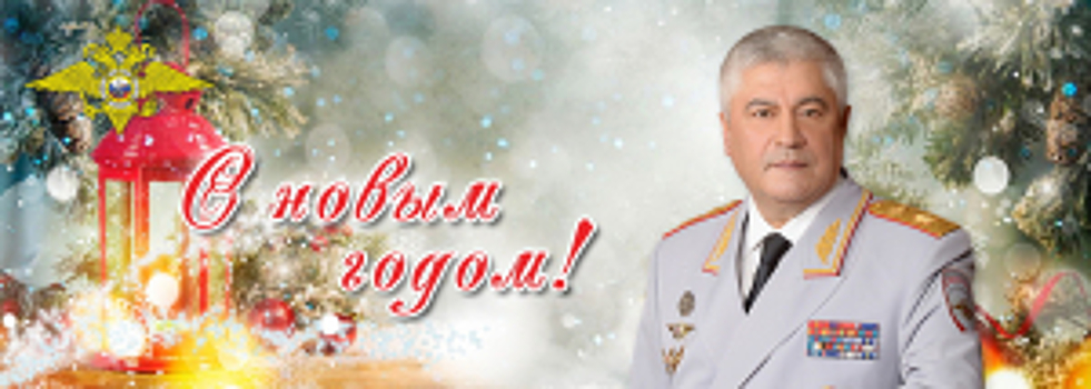 Поздравление Владимира Колокольцева с Новым годом