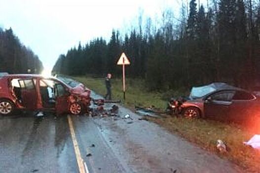 По факту ДТП с двумя погибшими полиция возбудила уголовное дело