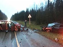 По факту ДТП с двумя погибшими полиция возбудила уголовное дело