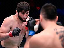 UFC Fight Night 205: Алиасхаб Хизриев — Денис Тюлюлин, когда бой, где смотреть