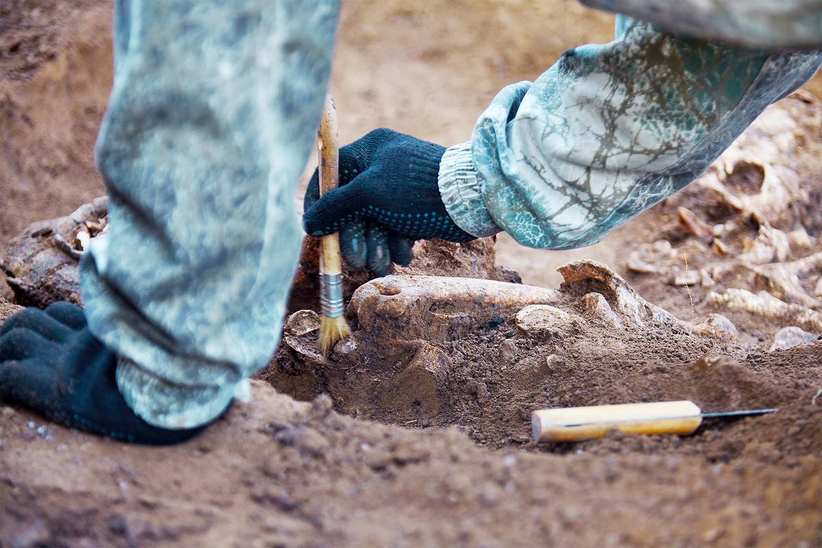 Недалеко от Волги археологи нашли останки молодой венгерской женщины
