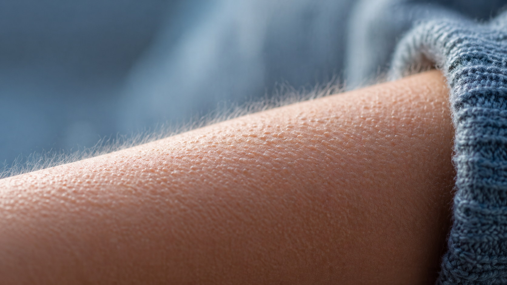 Мурашки по коже: почему организм включает этот древний рефлекс