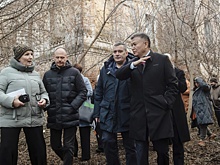 Интеллектуалов станет больше