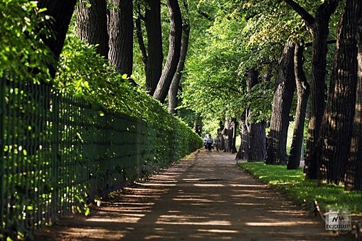 «Не считайте людей идиотами»: в Петербурге агитируют за открытие парков