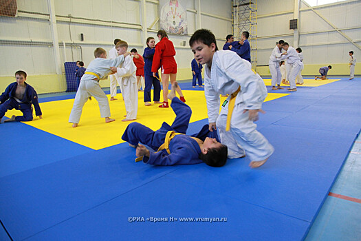 Программу развития школьного спорта утвердят в Нижегородской области в 2020 году