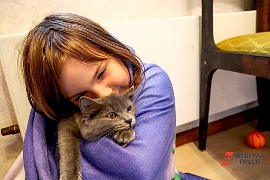 Квартиры в Екатеринбурге не собираются дешеветь: «Цены могут пойти вверх»