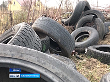 С мусорным коллапсом разбираются на региональном уровне