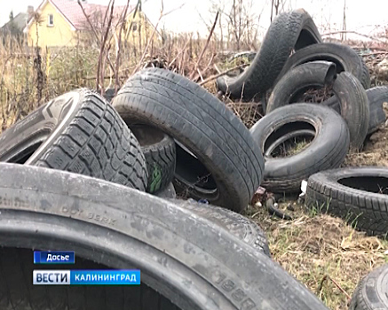 С мусорным коллапсом разбираются на региональном уровне