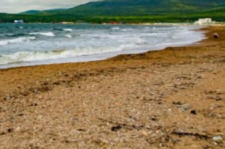 «Уже к концу этой недели». На Шаморе завершают наведение порядка