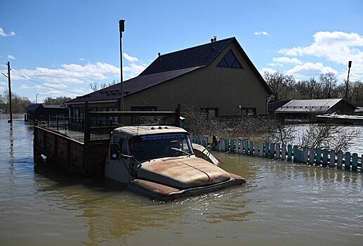 В России наказали назвавшего пострадавших от потопа клоунами чиновника