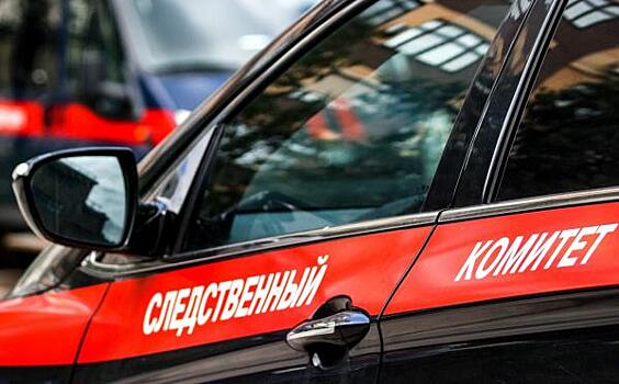 ЛДПР предложила отменить наказание для некоторых осужденных по УК Украины в новых регионах