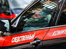 ЛДПР предложила отменить наказание для некоторых осужденных по УК Украины в новых регионах