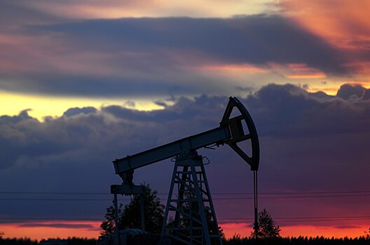 Новак дал прогноз по цене нефти в 2021 году