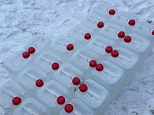 В Ленобласти пресекли домашнее производство суррогатного алкоголя