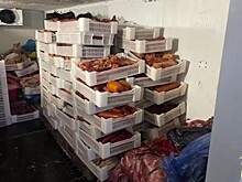 Более шести тонн мясной продукции и 135 кг осетрины без маркировки обнаружили на Кубани