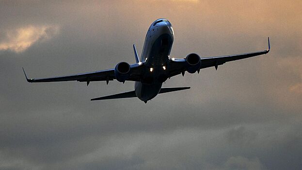 Эксперты оценили предложение сократить рейсы Turkish Airlines