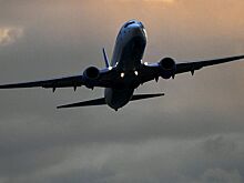 Эксперты оценили предложение сократить рейсы Turkish Airlines