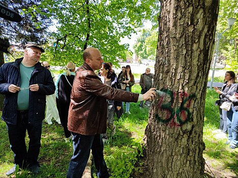 Курская общественность решает судьбу деревьев в парке Бородино