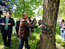 Курская общественность решает судьбу деревьев в парке Бородино