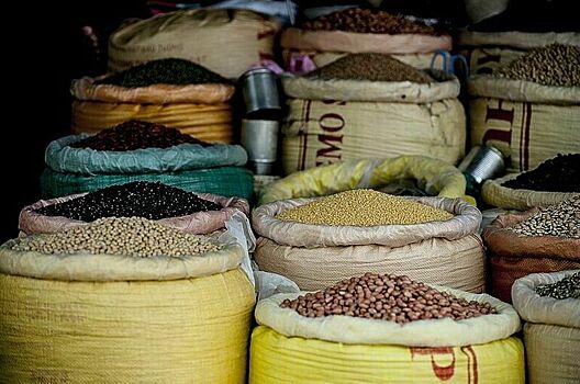 Список сельхозпродукции для ввоза в Россию расширили