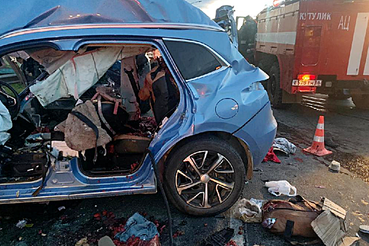 В Иркутской области по вине пьяного водителя тягача погибли два человека