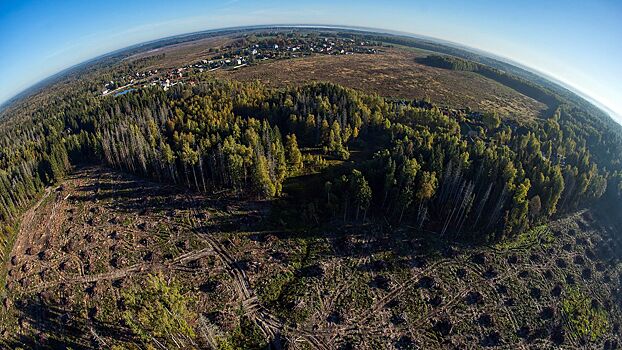 Раскрыт способ сэкономить при покупке земли в Москве