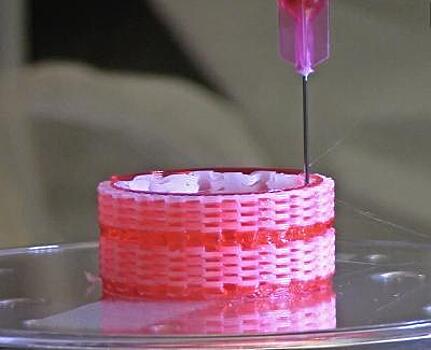 Ученые впервые распечатали человеческую трахею на принтере