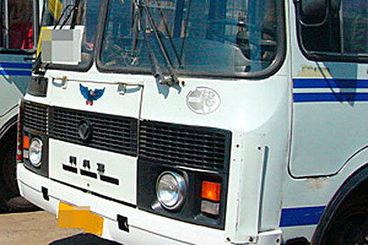 Пассажирка получила сотрясение головного мозга в нижегородском автобусе