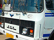 Пассажирка получила сотрясение головного мозга в нижегородском автобусе