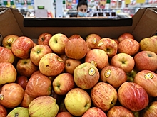 Дешевые импортные яблоки стали проблемой России