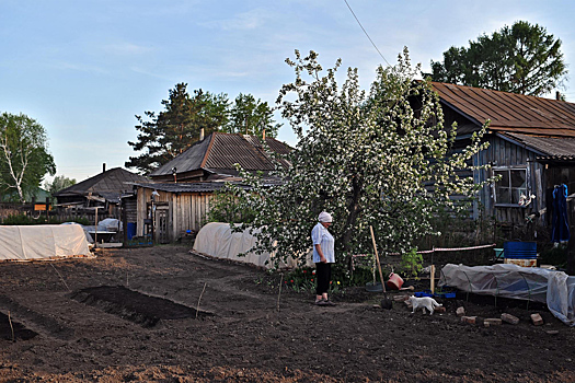 Москвичей предупредили о штрафах за неухоженный участок