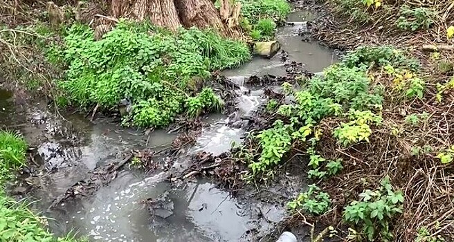 Загрязнение реки Рузы недостаточно очищенными сточными водами пресечено в Подмосковье