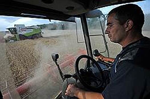 Цена на пшеницу взяла паузу