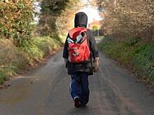 В Кирове 11-летний мальчик сутки гулял по городу: разыскивать школьника пришлось полицейским