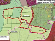 Владимирцев просят высказаться о строительстве лыжной трассы в «Дружбе»